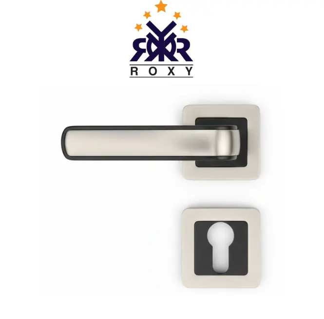 مقبض باب ROXY- بإطار أسود أنيق
