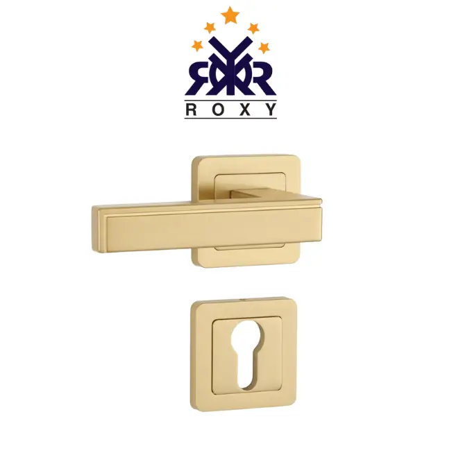 مقبض باب ذهبي مطفي بتصميم مستطيل عصري وجودة عالية