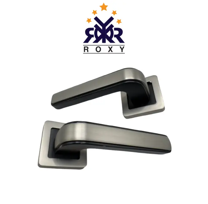 مقبض باب ROXY- بإطار أسود أنيق
