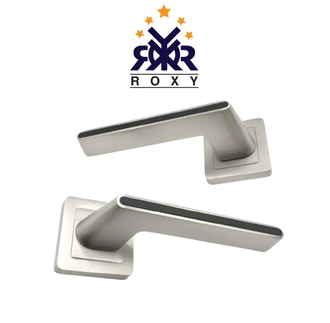 مقبض باب فضي مطفي مع خط اسود  – تصميم عصري