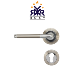 Dual-Finish Silver Modern Door Handle